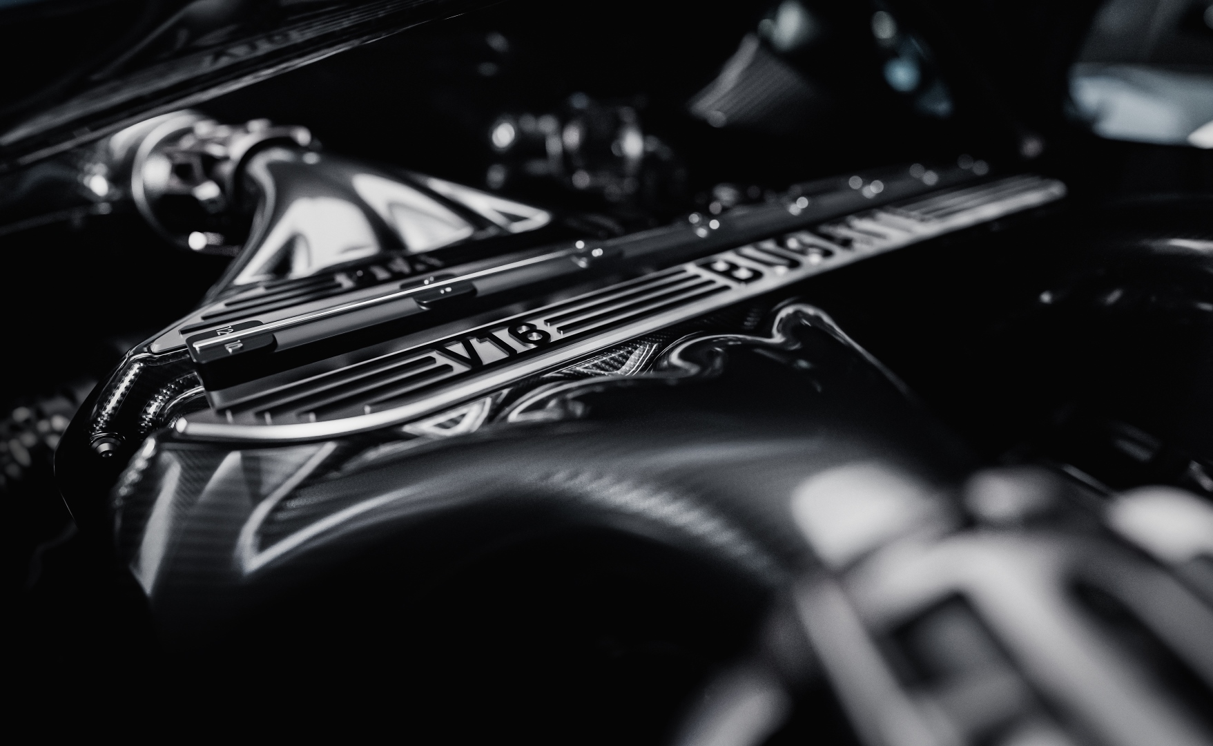 bugatti-world-premiere-presskit-images-15.jpg
