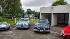 jlr-goodwood-41-144x81.jpg